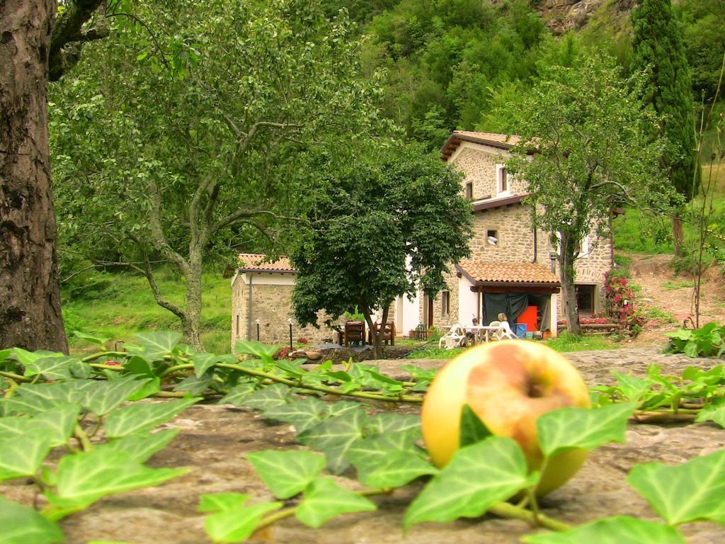 Agriturismo di là dall'Acqua Fivizzano Exterior foto