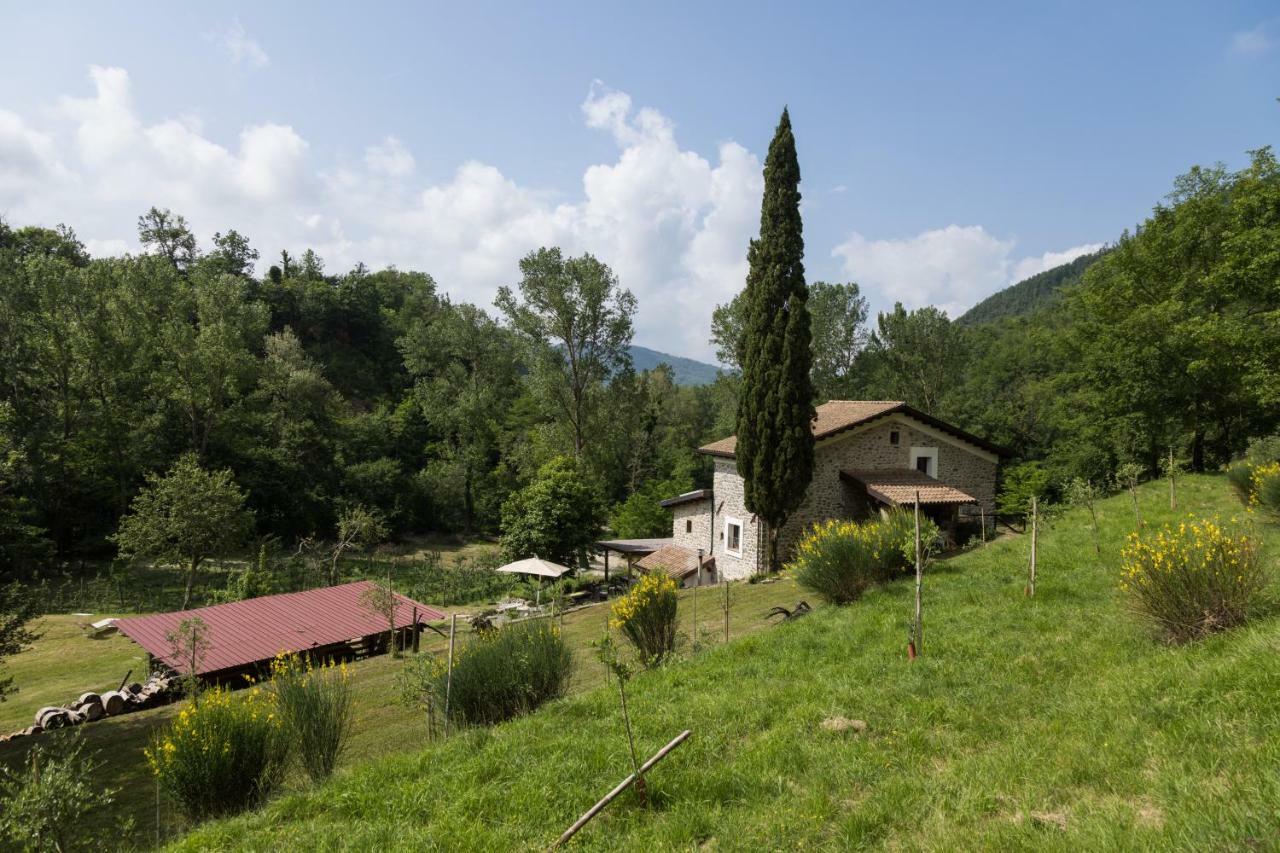 Agriturismo di là dall'Acqua Fivizzano Exterior foto